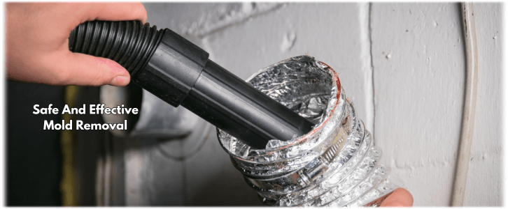 Air Duct Mold Removal in Alexandria VA