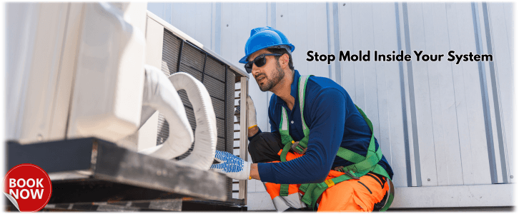 HVAC Mold Removal Alexandria VA